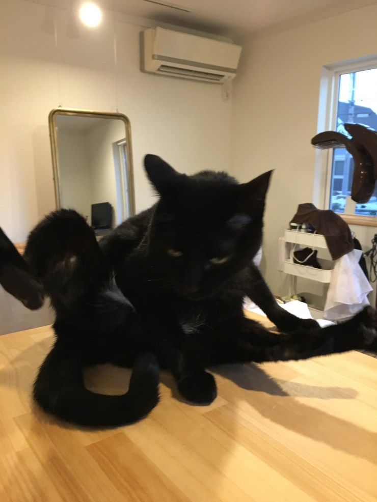 5EA37E27-4322-440B-8DA8-E25899DDD7DF