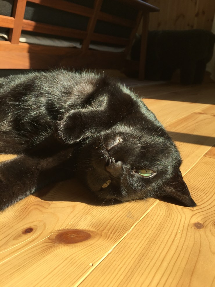 6470375F-152C-47F3-99F7-92500AA454A3