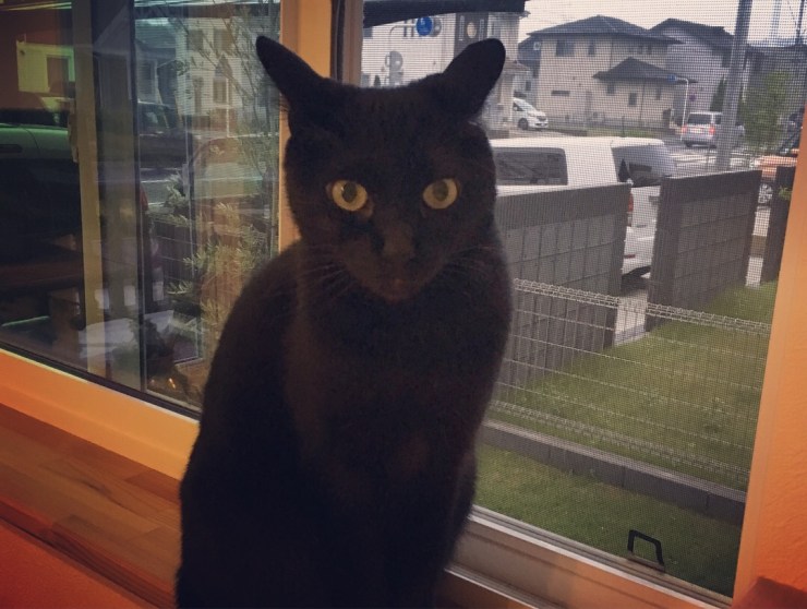 5411C265-2DFC-4AF5-A941-C8CCE9F14016