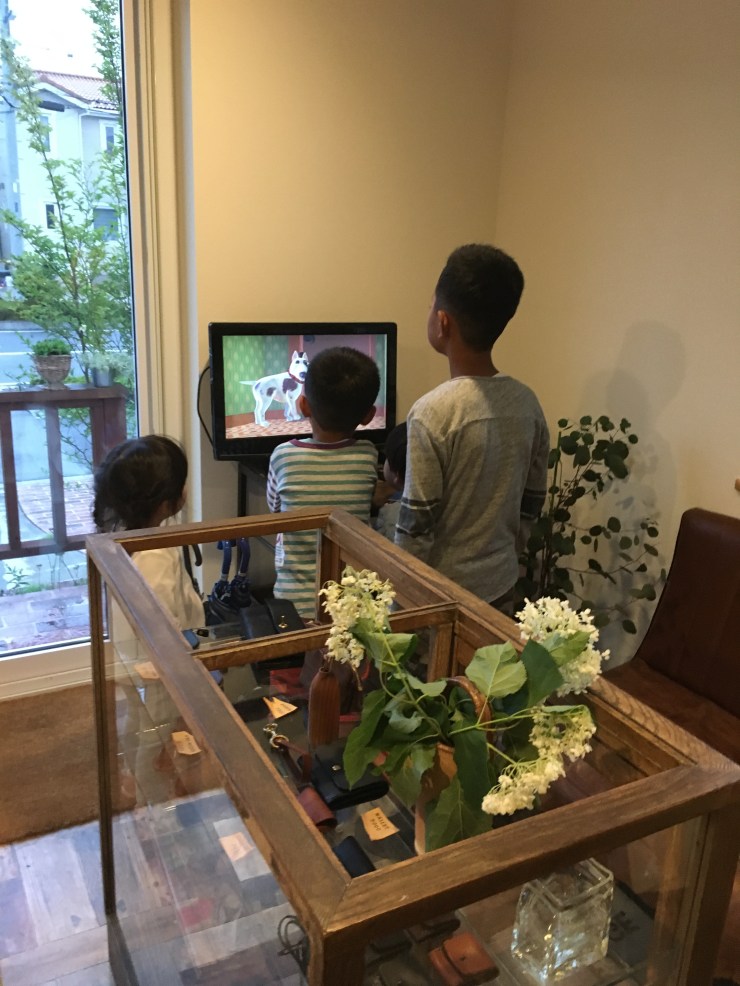 C2F62113-3813-4147-9577-B47475038AA4